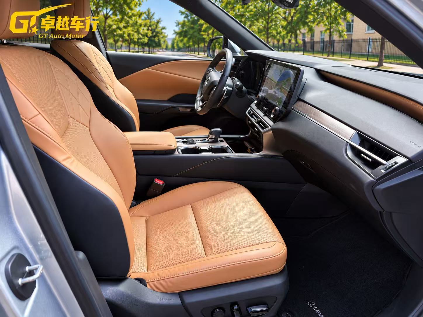 2024 LEXUS RX350 photo 10