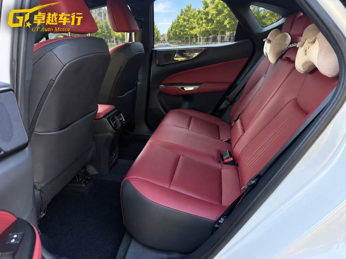 2025 LEXUS NX photo 10